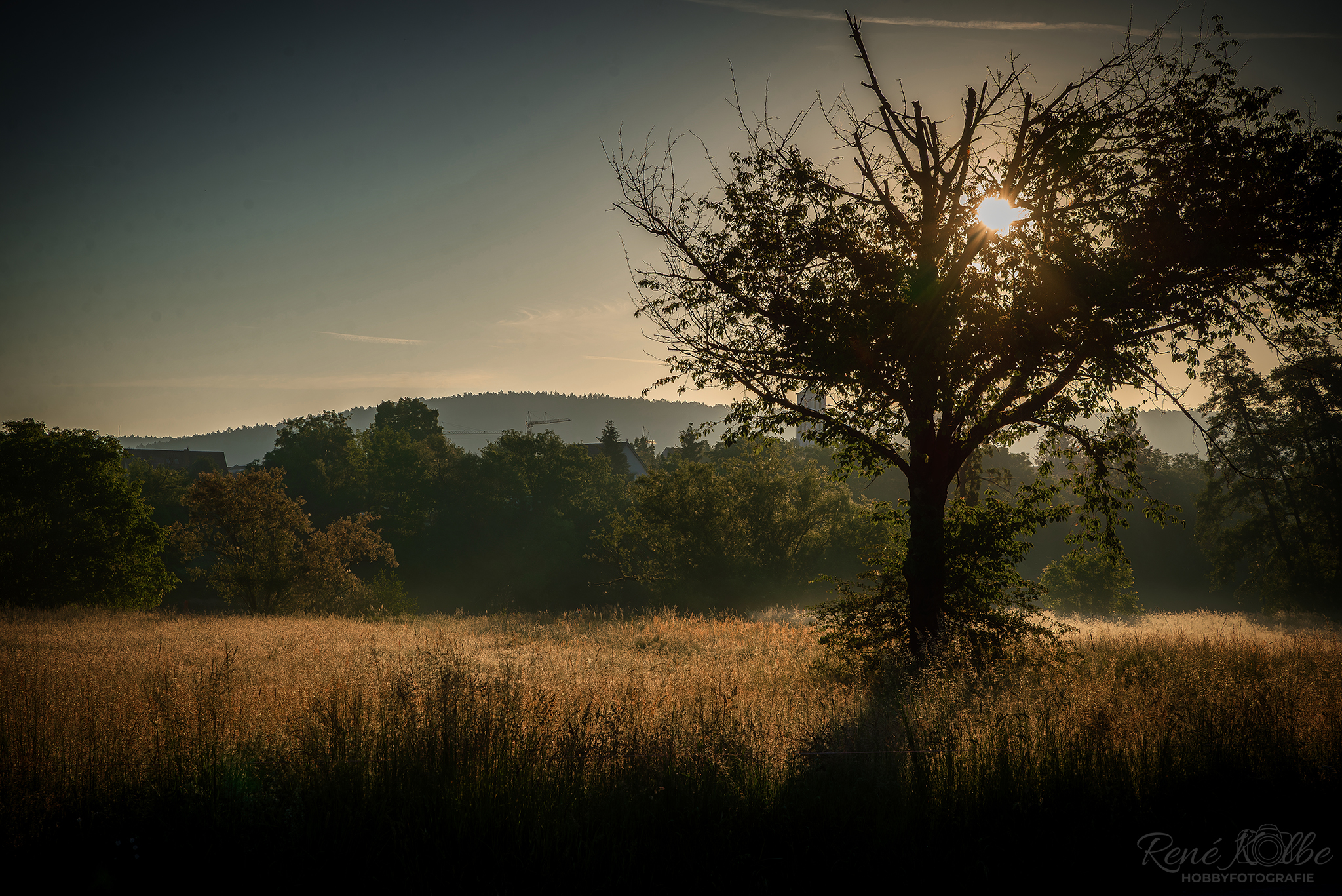 Sonne kommt durch...